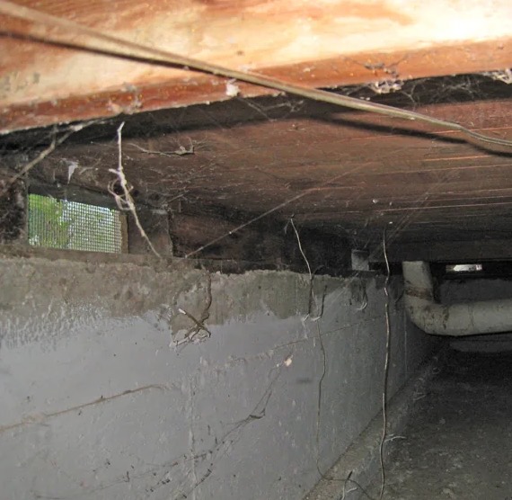 Crawlspace Cleaning & Sanitation in Orem, UT