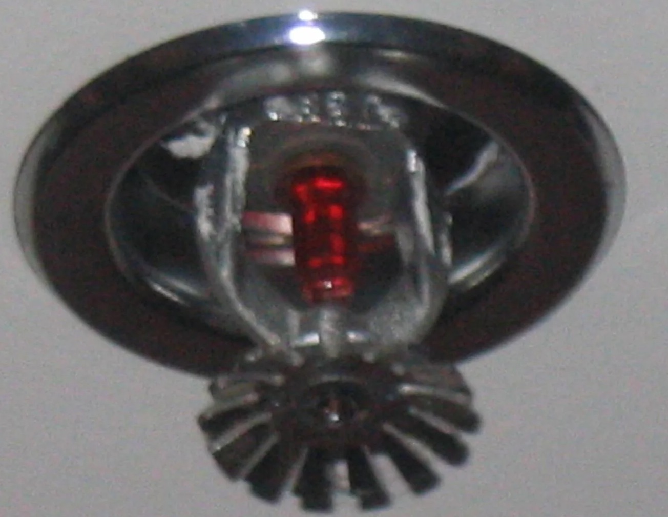 Sprinkler System Water Removal in Willard, UT
